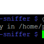 gitinitraspberry.png